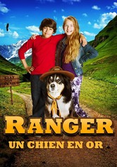 Ranger, un chien en or
