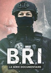 B.R.I. : La série documentaire