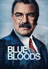 Blue Bloods: Crime Scene New York