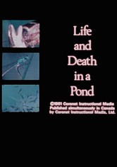 Life and Death in A Pond
