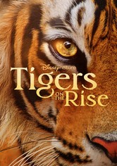 India tigrisei: így készült