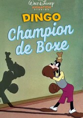 Dingo Champion de Boxe