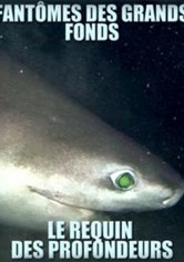 Fantômes des grands fonds – Requins des profondeurs