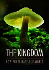 El reino de los hongos: cómo construyeron el mundo