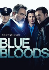 Blue Bloods: Crime Scene New York