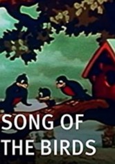 Le Concert Des Oiseaux