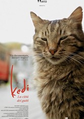 Kedi - La città dei gatti