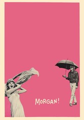 Morgan – hur galen som helst