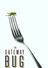 The Gateway Bug