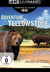 Adventure Yellowstone - Der Ruf der Wildnis