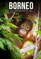 Borneo: The Fascination of Asia