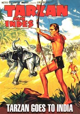 Tarzan aux Indes