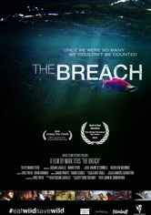 The Breach