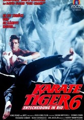Karate Tiger 6 - Entscheidung in Rio