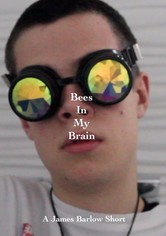 Bees In My Brain